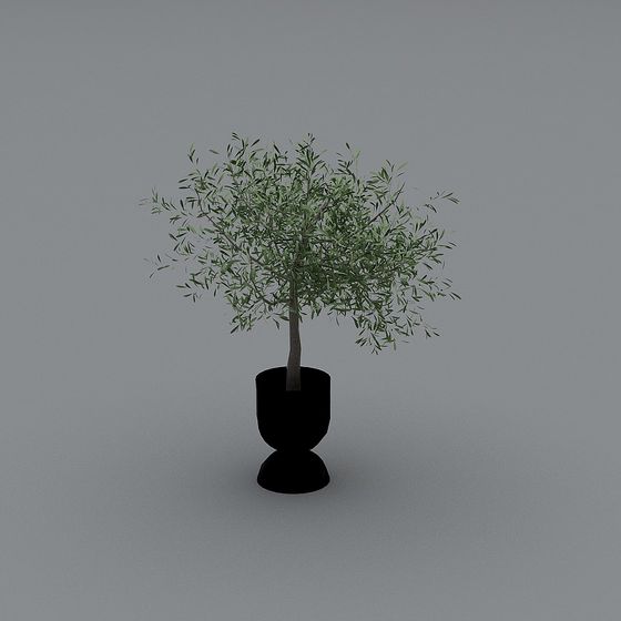 Urban Green Plant 3D model