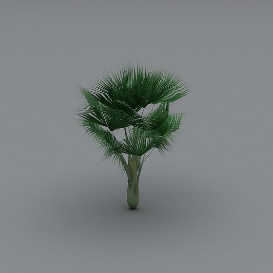 Low-Poly High-Detail Palm Tree 3D model