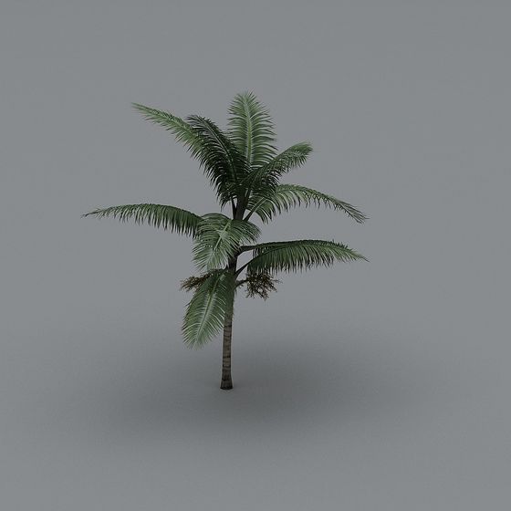 Realistic Coconut Tree 3D Model for Vibrant Designs