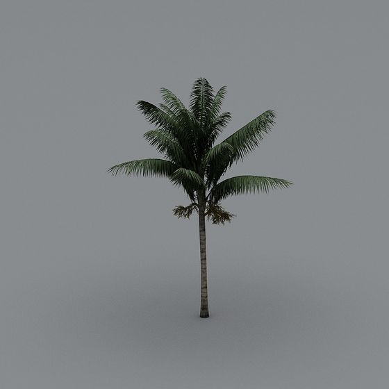Realistic Coconut Tree 3D Model for Tropical Environments