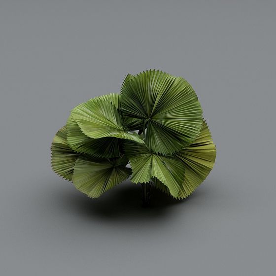 Low-Poly Palm Leaf Plant 3D model