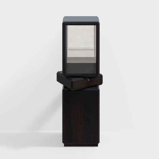 Sleek Showcase Display Cabinet 3D model