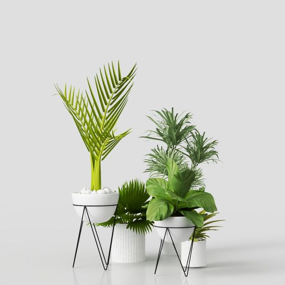 High-Detail Low-Polygon Plant Set 3D model