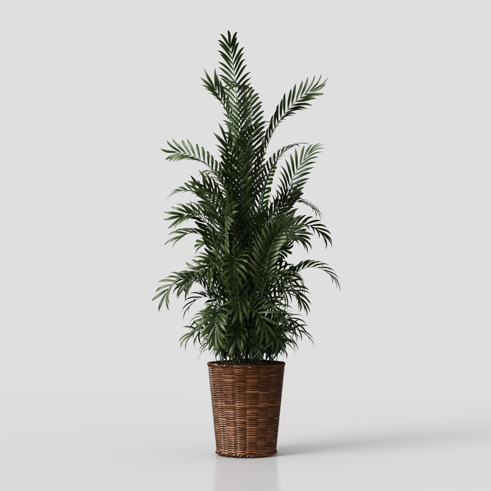 미국식 녹색 식물