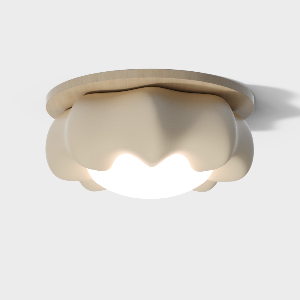 modern ceiling lamp