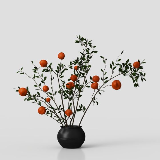 Orange Vitality 3D Model