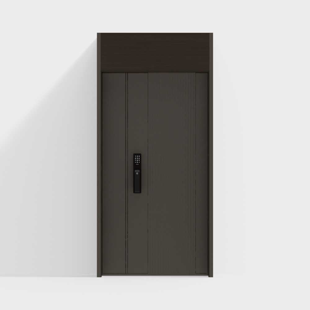 modern entry door
