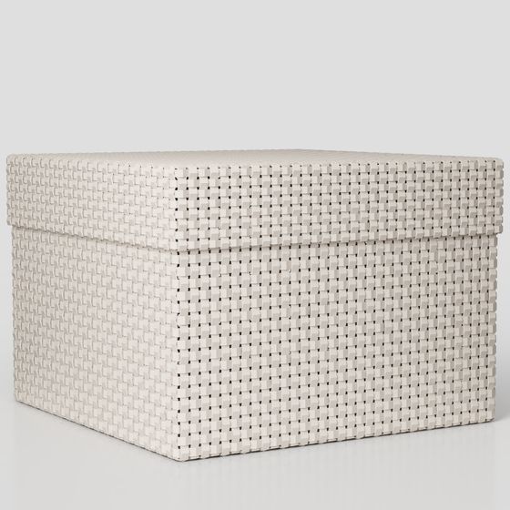 Charming Woven Storage Box 3D model