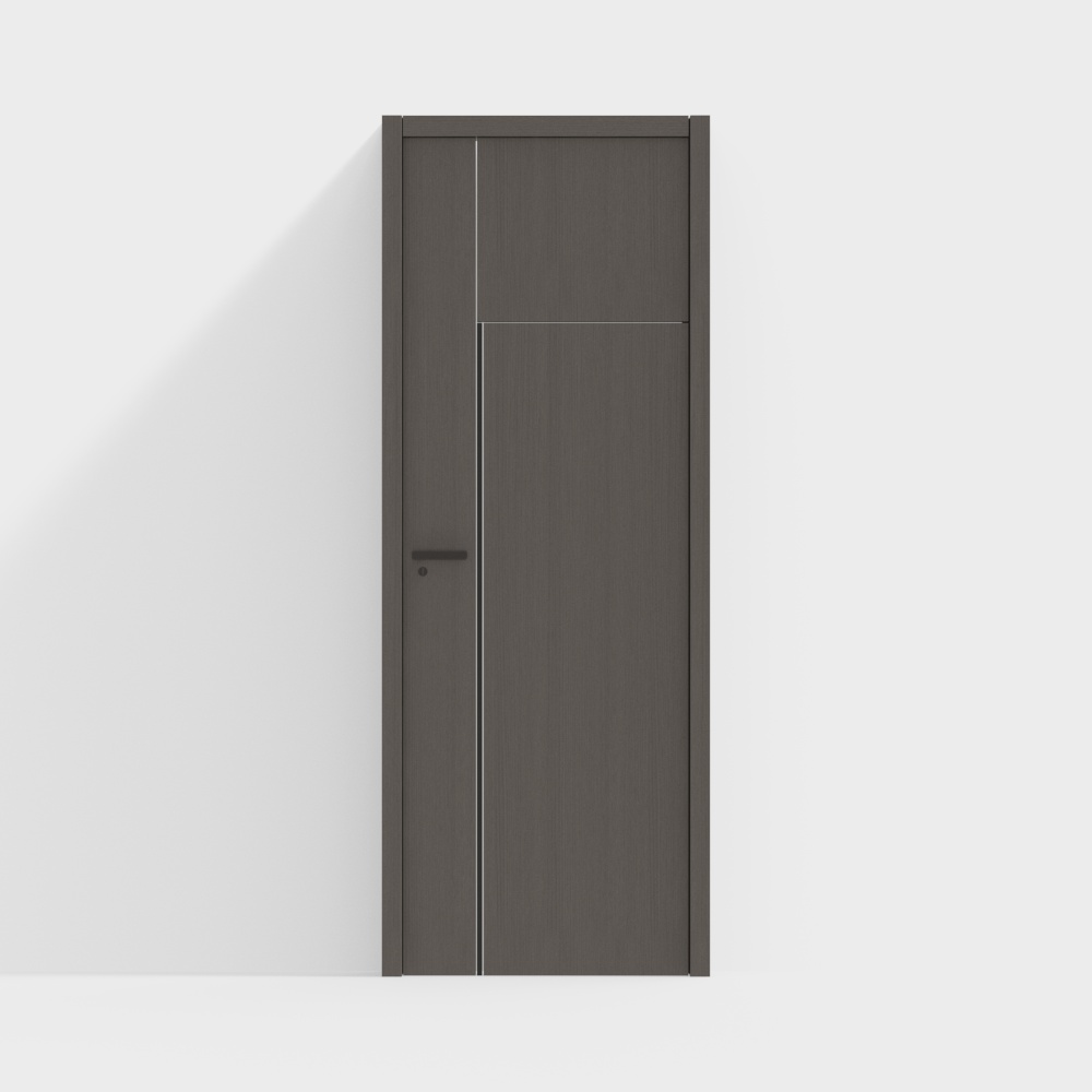 modern single door