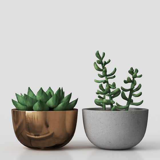 การตกแต่งพืชนอร์ดิก