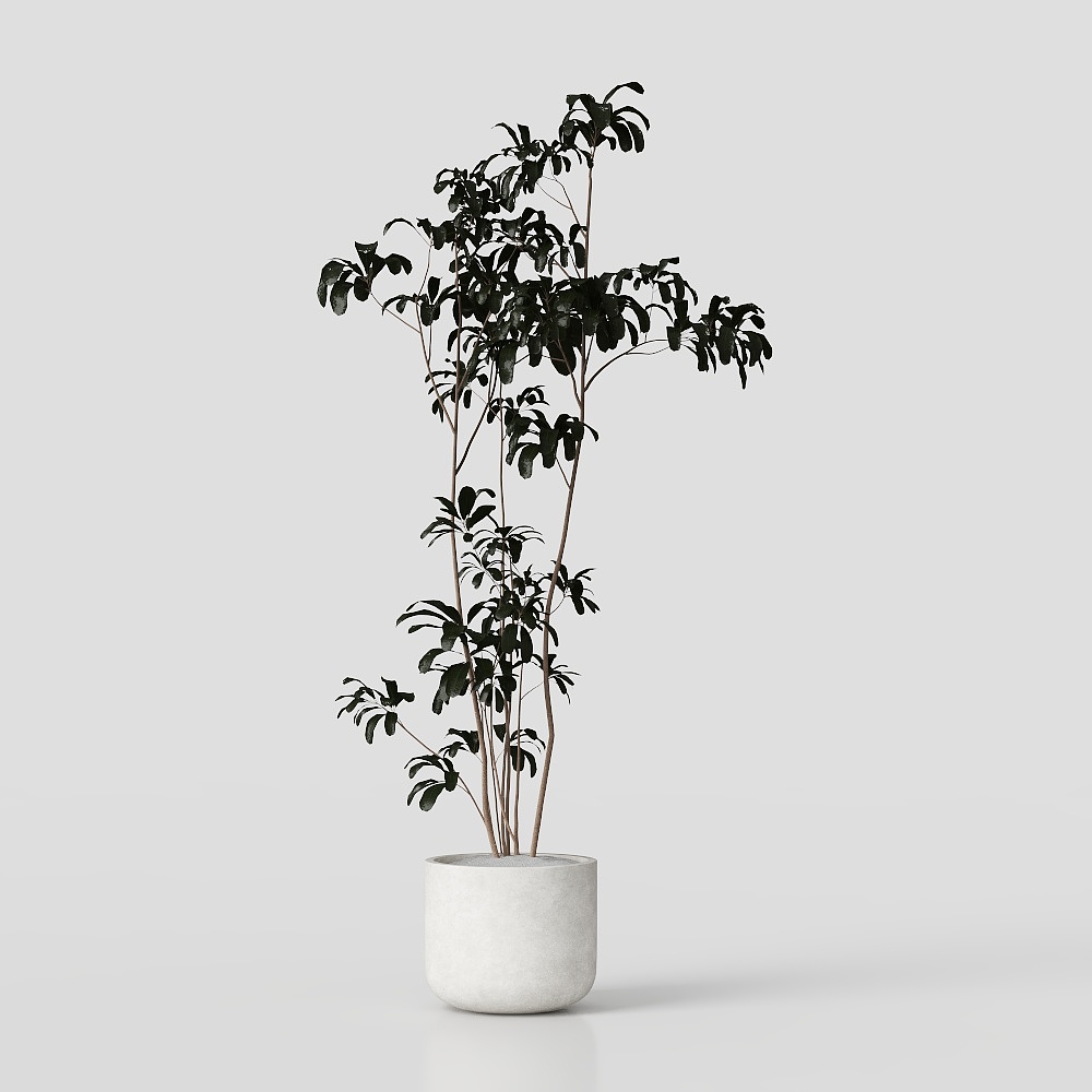 Северный растительный декор