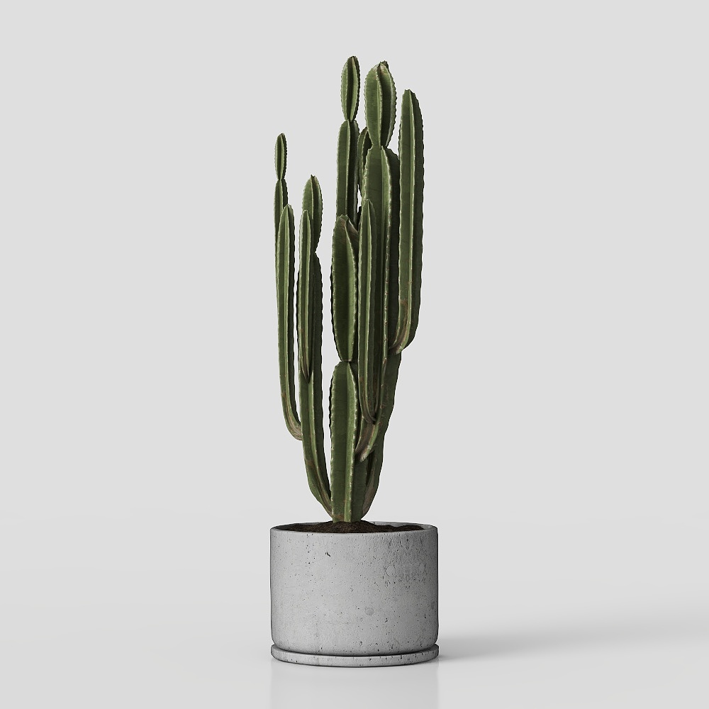 Trang trí cây phong cách Bắc Âu