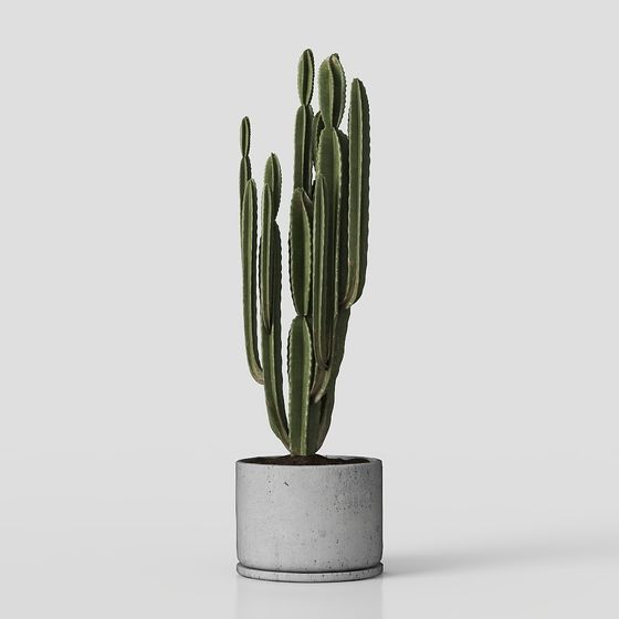 Trang trí cây phong cách Bắc Âu