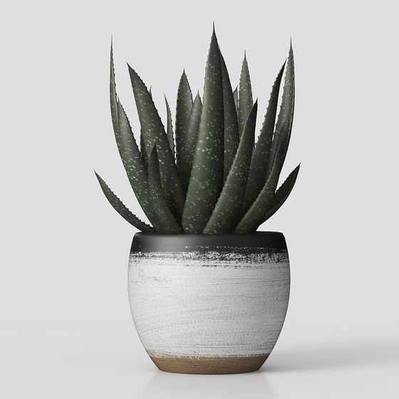 Trang trí cây phong cách Bắc Âu