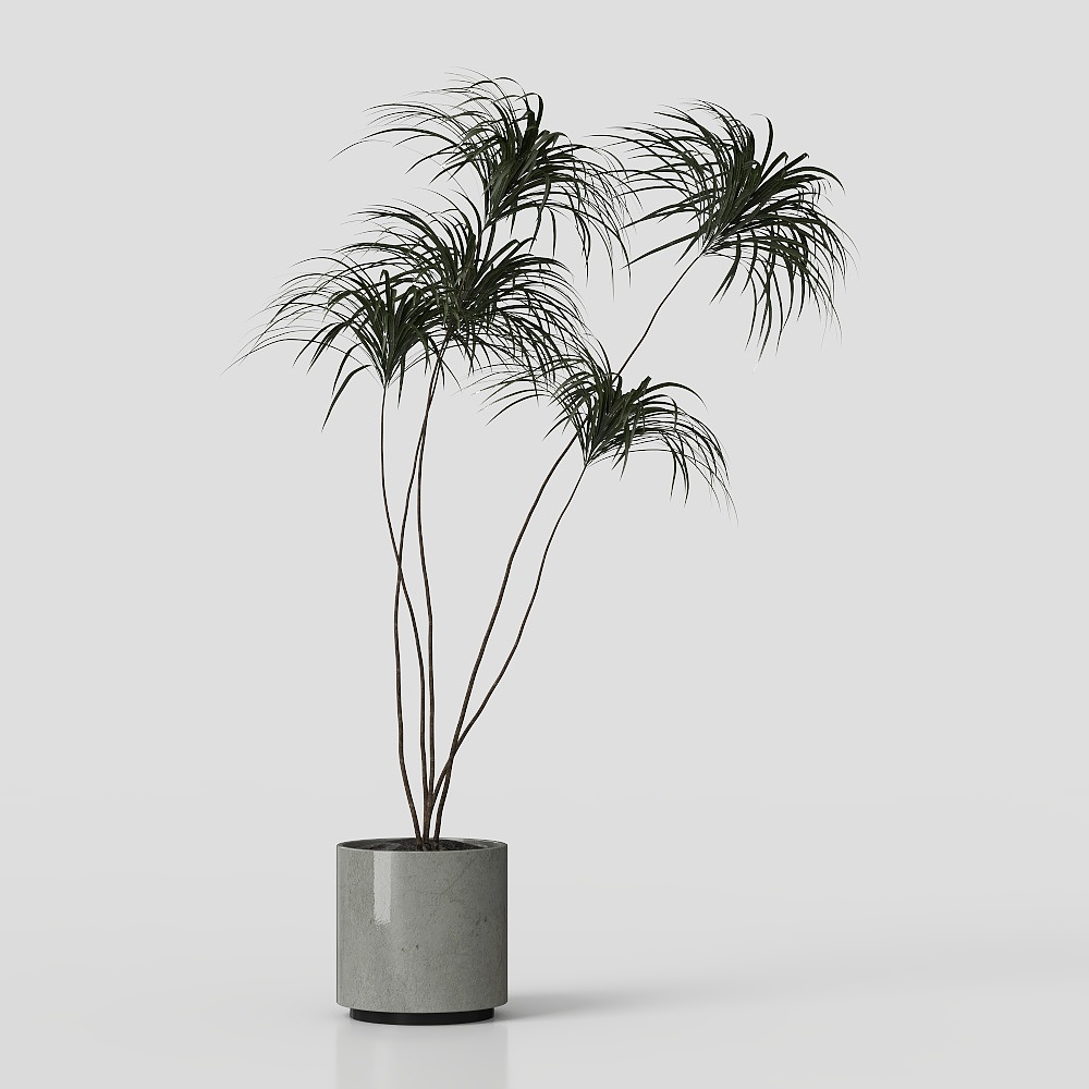 北欧スタイルの植物装飾