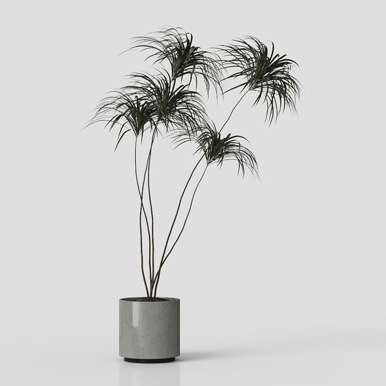 北欧スタイルの植物装飾