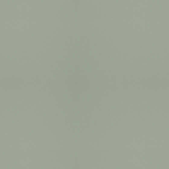 T14 Green Olive 3D Model in Gray