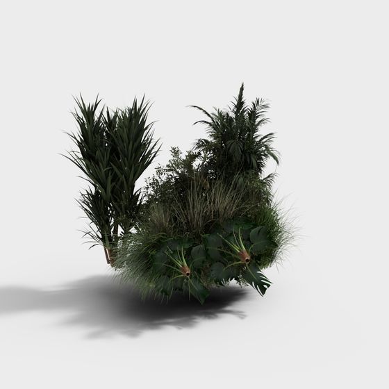 Tropical Garden 3D model