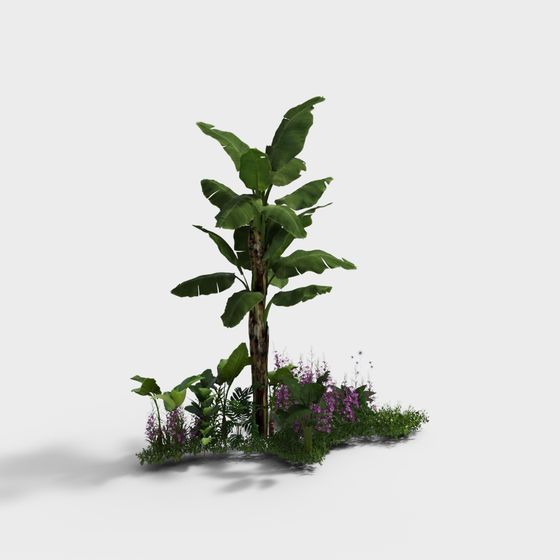 Banana Tree and Garden 3D Model