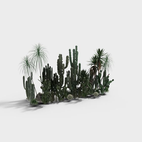 Desert Oasis 3D model