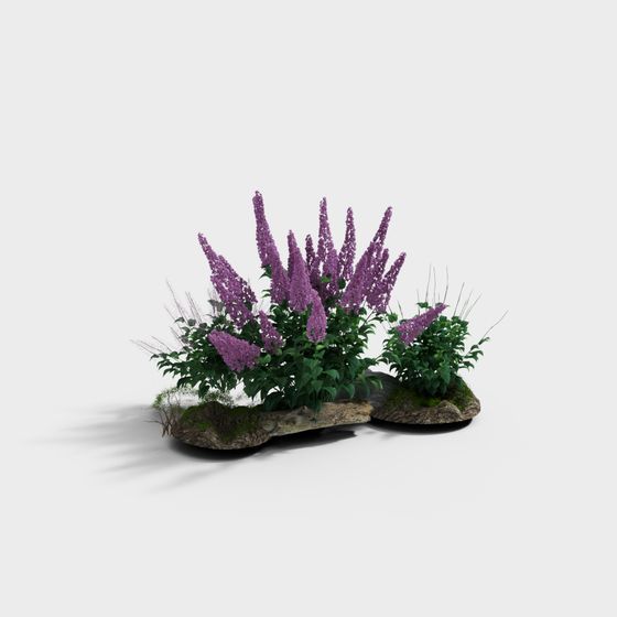Vibrant Purple Flower Cluster 3D model