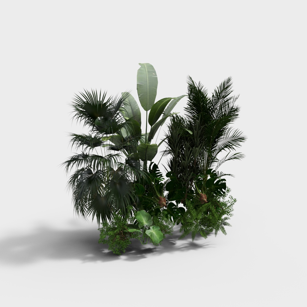 montón de flores y plantas