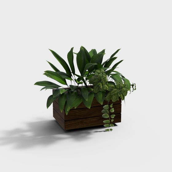 Natural Wooden Planter and Plant 3D model for Creative Projects