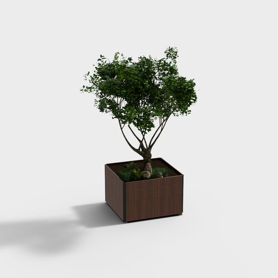 모던 야외 목재 화단