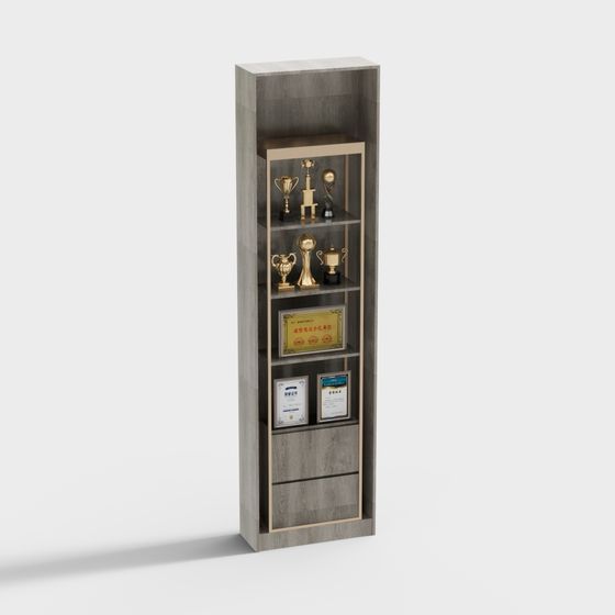 Gray Trophy and Certificate Display Cabinet 3D Model