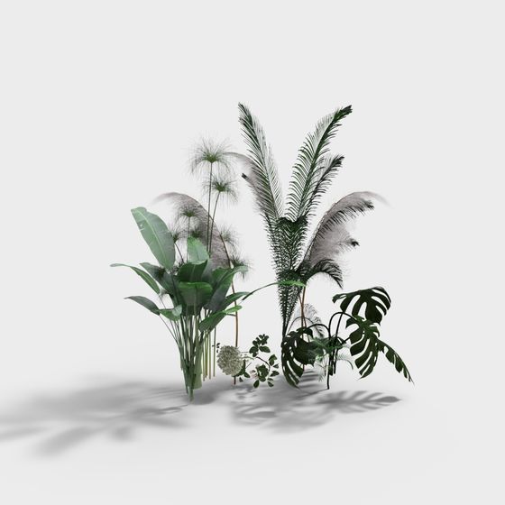 Tropical Low-Poly Plant 3D Model Collection