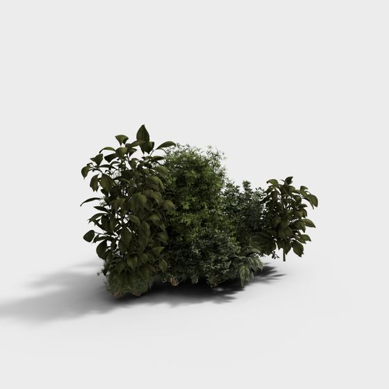 Forest Spirit Low-Poly 3D Model