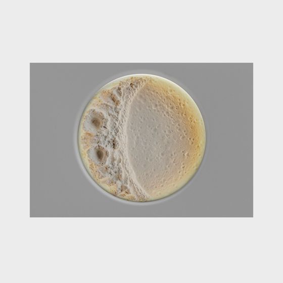 Detailed Lunar Surface 3D Model for Creative Uses