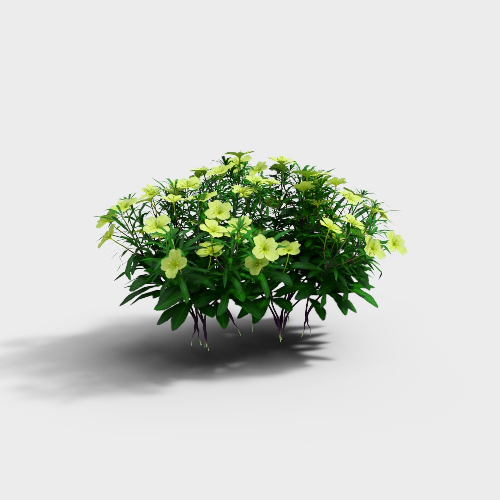 Flor amarilla_entraña entera