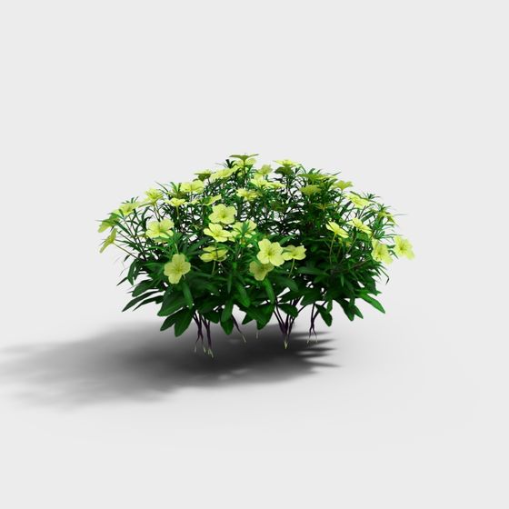 Flor amarilla_entraña entera