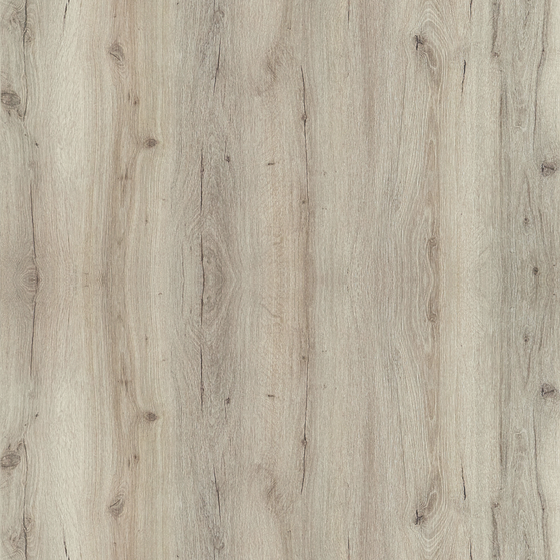 Oak Matte Material 3D Model in Earth Color