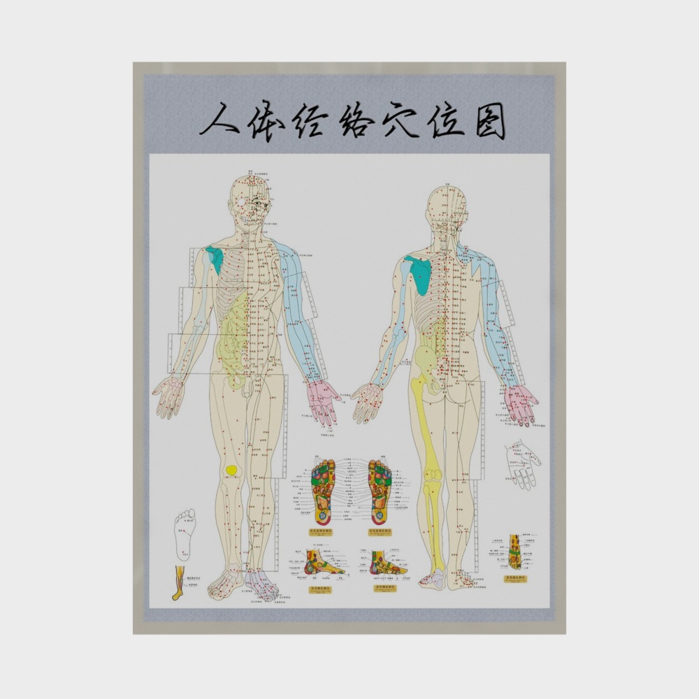Human Meridian Acupuncture Points 3D model