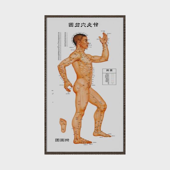 Human Acupuncture Points 3D Model