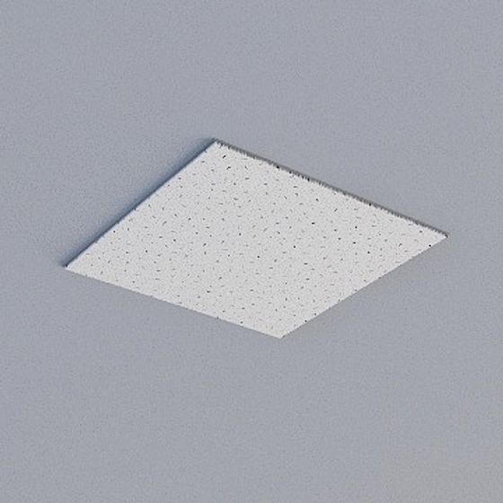 Modern Simple Ceiling