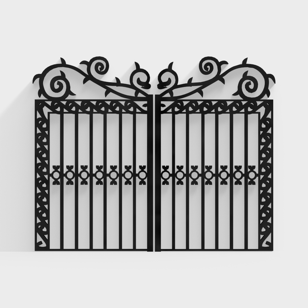 Courtyard wrought iron gate