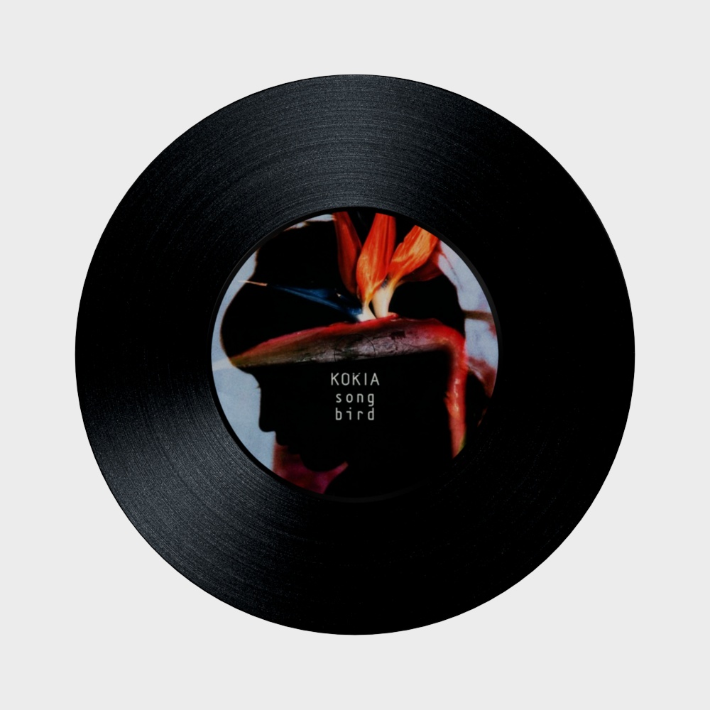 Record Shop Decorative Painting