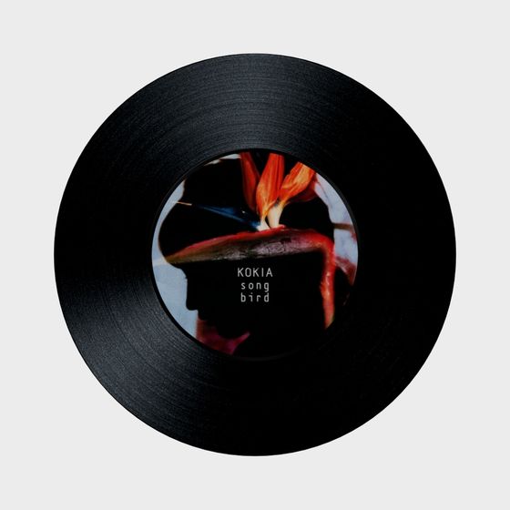 Kokia Song Bird 3D Model for Stunning Displays