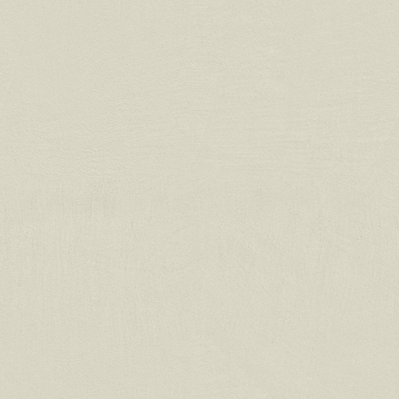 Snowfall_WS-310 Yamamoto Mountain Guo