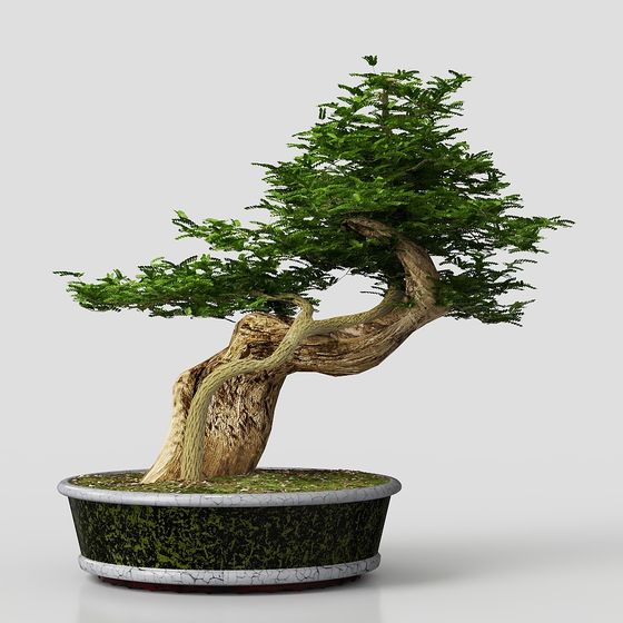 Bonsai Masterpiece 3D model