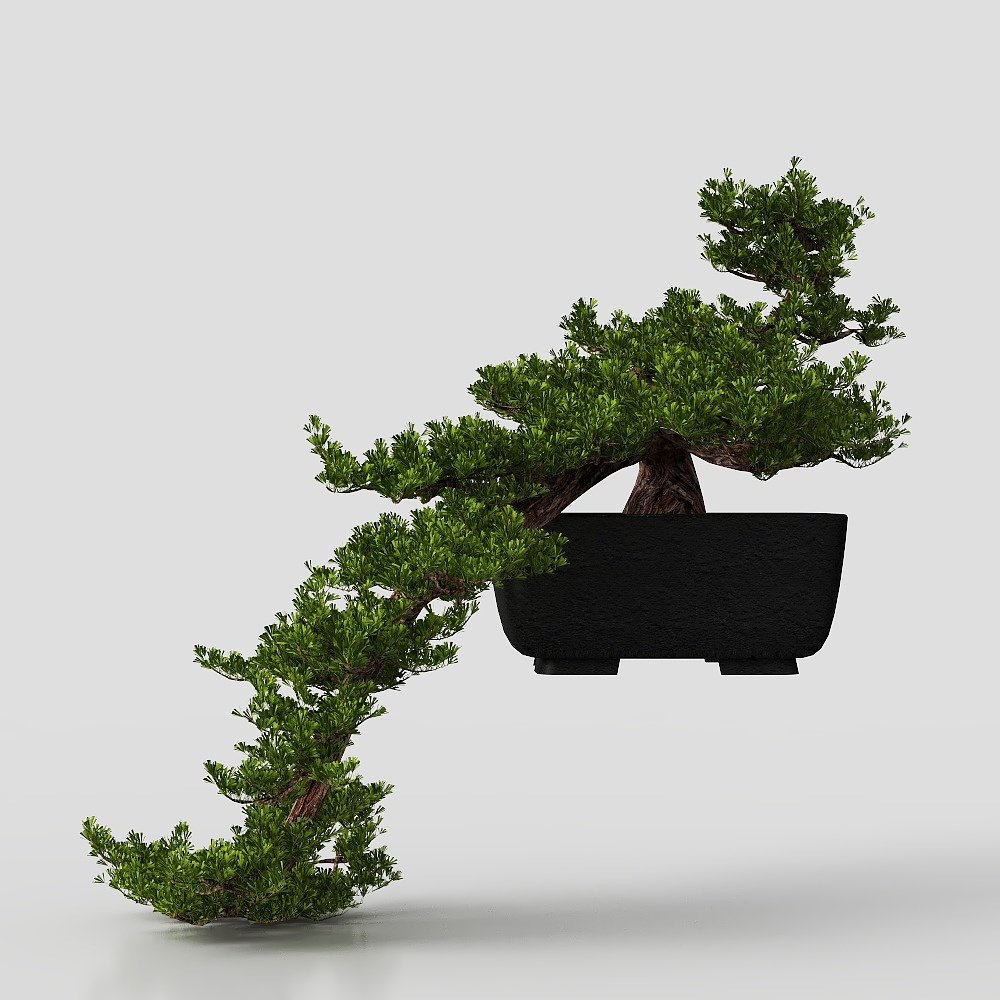 Plante en Pot - Style Asiatique