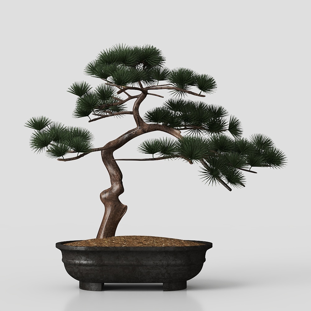 鉢植えの植物 アジアスタイル