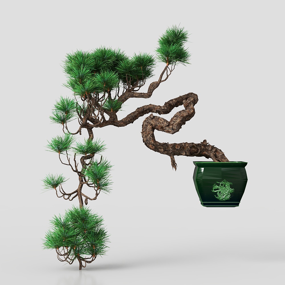 Potted plant Asian Style