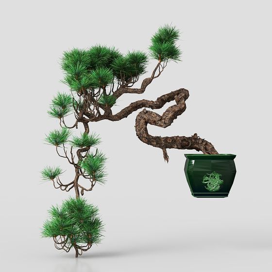 鉢植えの植物 アジアスタイル