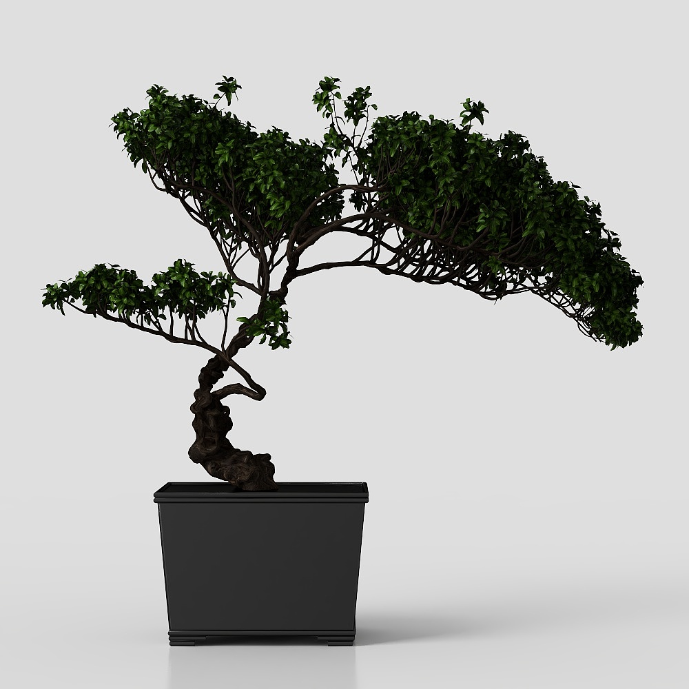 Potted plant Asian Style