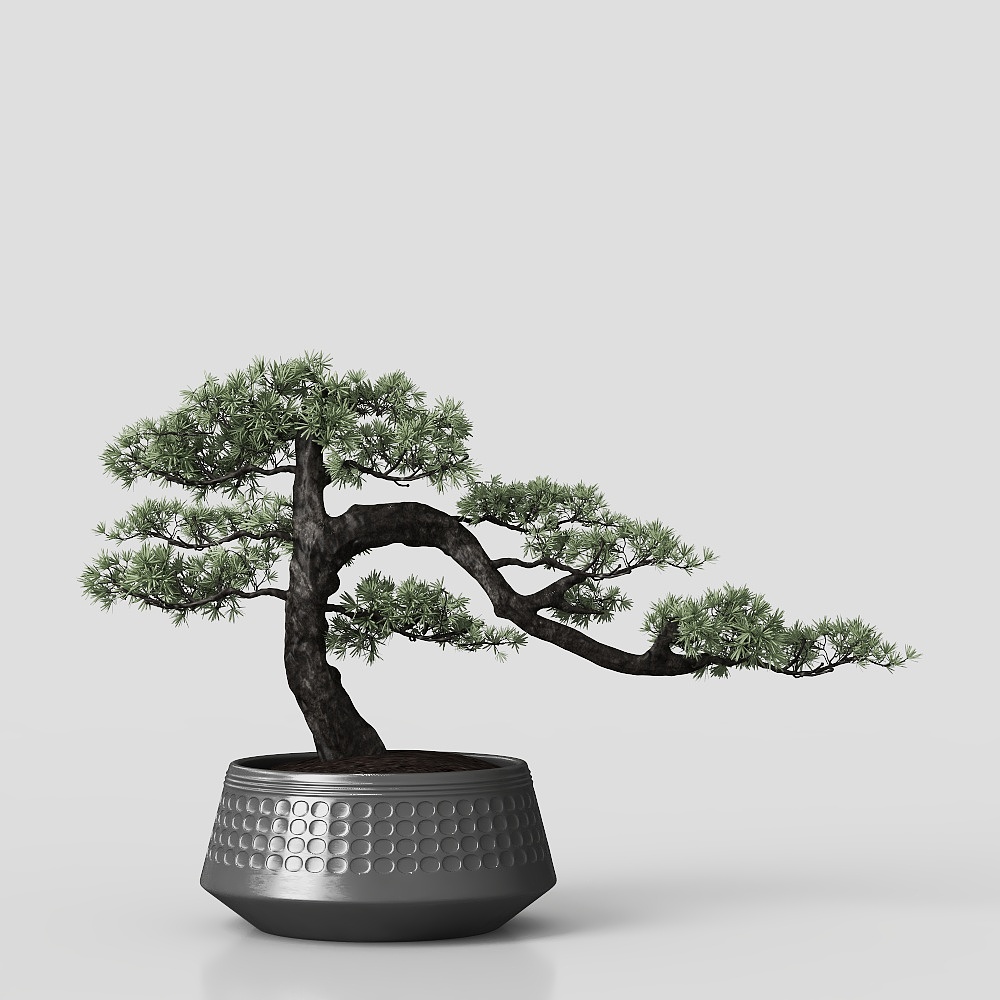 Potted plant Asian Style