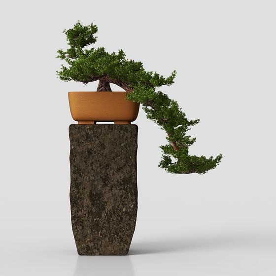 Zen Bonsai 3D model for Tranquil Designs